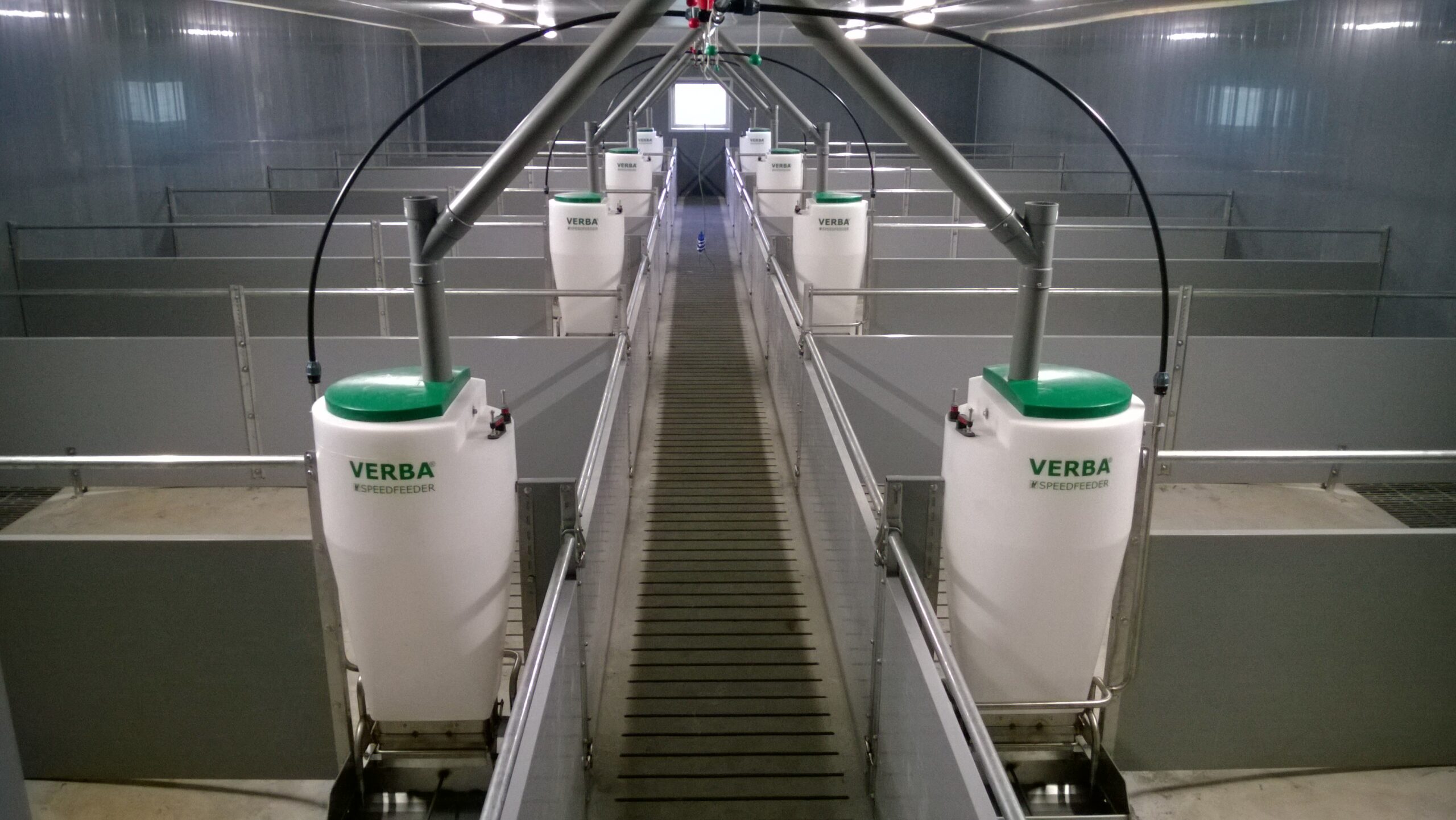 Speedfeeder 50 mangeoires pour porcs